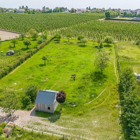 Unique Hideaway, Holiday House With Large Garden Kortenaken Exterior photo